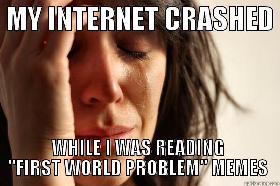  MY INTERNET CRASHED  WHILE I WAS READING 