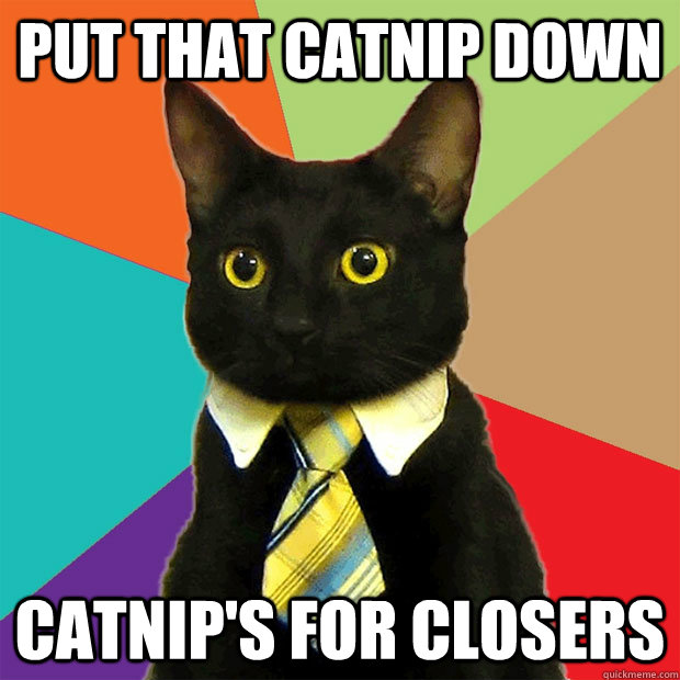 Put that catnip down Catnip's for closers  Business Cat