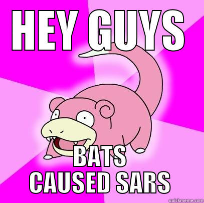 HEY GUYS BATS CAUSED SARS Slowpoke