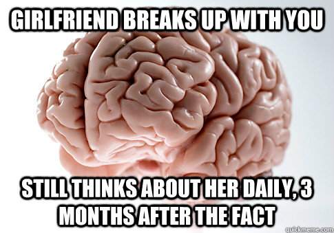 Girlfriend breaks up with you Still Thinks about her daily, 3 months after the fact  Scumbag Brain