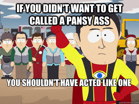 if you didn't want to get called a pansy ass you shouldn't have acted like one - if you didn't want to get called a pansy ass you shouldn't have acted like one  Captain Hindsight