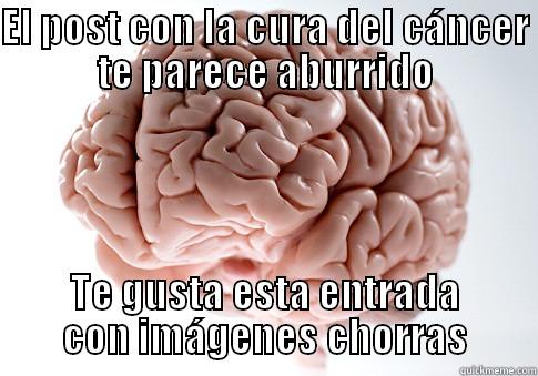 EL POST CON LA CURA DEL CÁNCER TE PARECE ABURRIDO TE GUSTA ESTA ENTRADA CON IMÁGENES CHORRAS Scumbag Brain