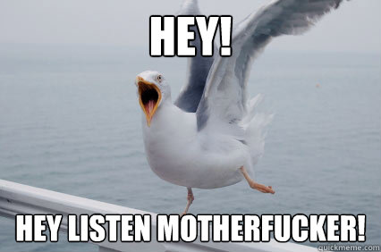 HEY! HEY LISTEN MOTHERFUCKER! - HEY! HEY LISTEN MOTHERFUCKER!  Seagull
