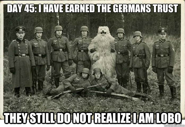 Day 45: I have earned the Germans trust they still do not realize i am lobo - Day 45: I have earned the Germans trust they still do not realize i am lobo  Misc