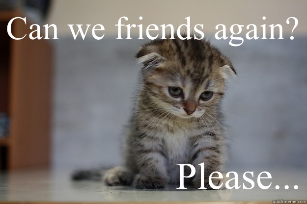 Can we friends again? Please...  Sad Kitten