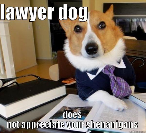 lawyer dog does not appreciate you - LAWYER DOG                  DOES NOT APPRECIATE YOUR SHENANIGANS Lawyer Dog