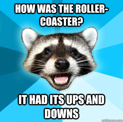 HOW WAS THE ROLLER-COASTER? IT HAD ITS UPS AND DOWNS  Lame Pun Coon