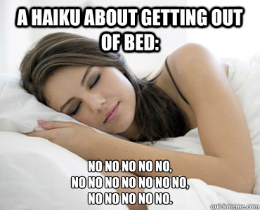 A Haiku about getting out of bed: No no no no no,
No no no no no no no,
No no no no no.  Sleep Meme