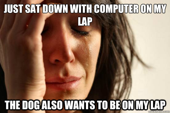 Just sat down with computer on my lap The Dog also wants to be on my lap  First World Problems