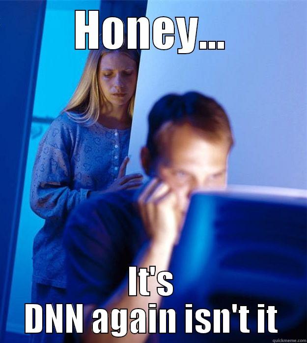 HONEY... IT'S DNN AGAIN ISN'T IT Redditors Wife