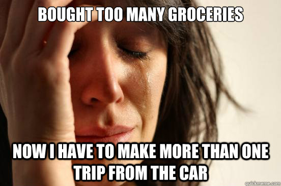Bought too many groceries Now I have to make more than one trip from the car  First World Problems