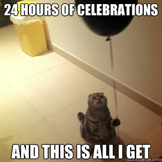 24 hours of celebrations And this is all I get  Sad Birthday Cat
