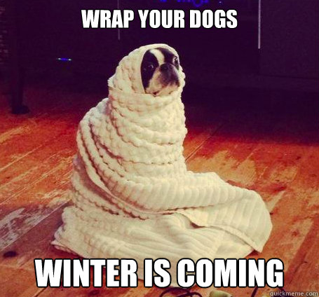 wrap your dogs Winter is coming - wrap your dogs Winter is coming  wrap your dogs