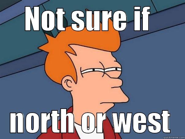 NOT SURE IF  NORTH OR WEST Futurama Fry