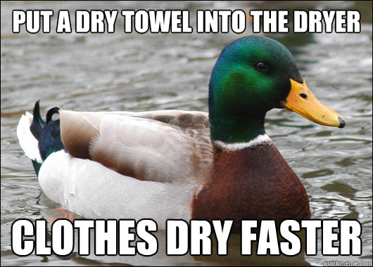 put a dry towel into the dryer clothes dry faster  Actual Advice Mallard