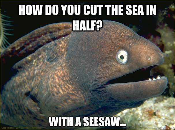 How do you cut the sea in half? With a seesaw...  Bad Joke Eel