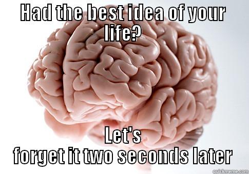 HAD THE BEST IDEA OF YOUR LIFE? LET'S FORGET IT TWO SECONDS LATER Scumbag Brain