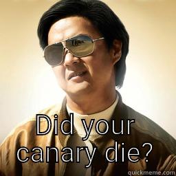  DID YOUR CANARY DIE? Mr Chow