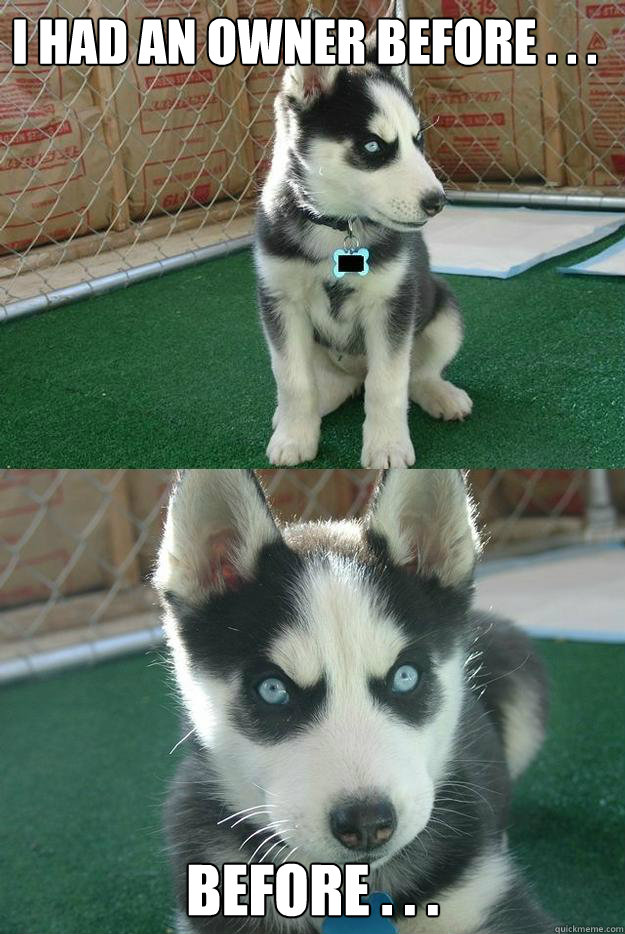 I had an owner before . . . before . . .  Insanity puppy