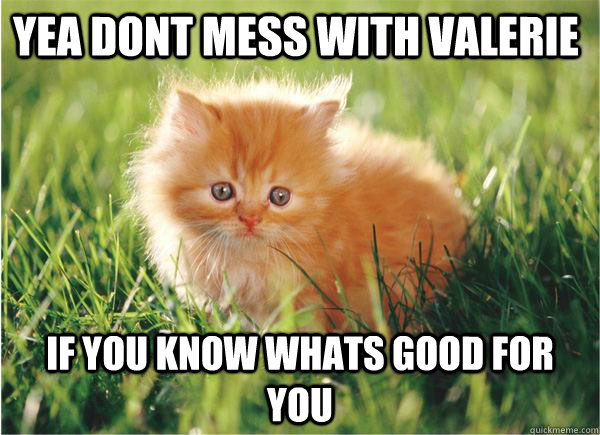 Yea Dont mess with valerie If you know whats good for you  - Yea Dont mess with valerie If you know whats good for you   cute cat meme lolcat