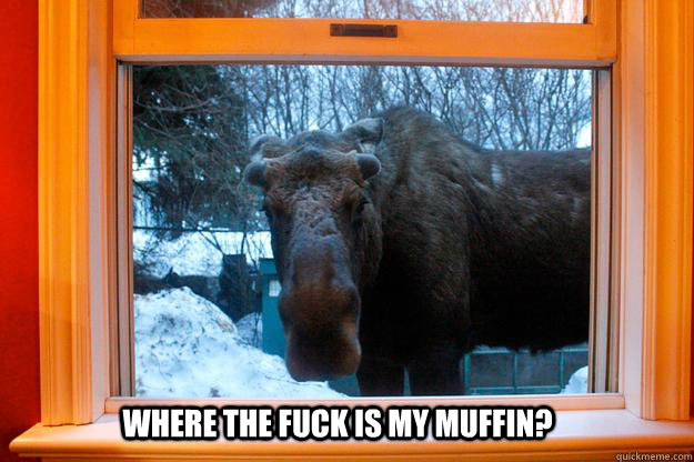 where the fuck is my muffin?  Wat Moose