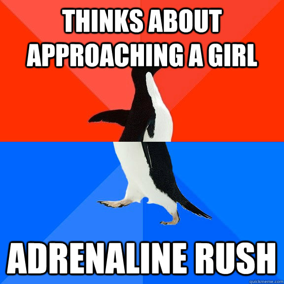 Thinks about approaching a girl Adrenaline rush  Socially Awesome Awkward Penguin