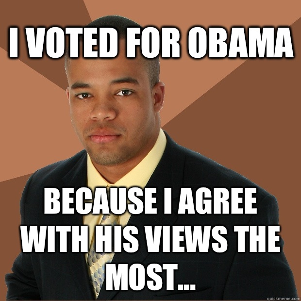 I voted for Obama Because I agree with his views the most...  Successful Black Man