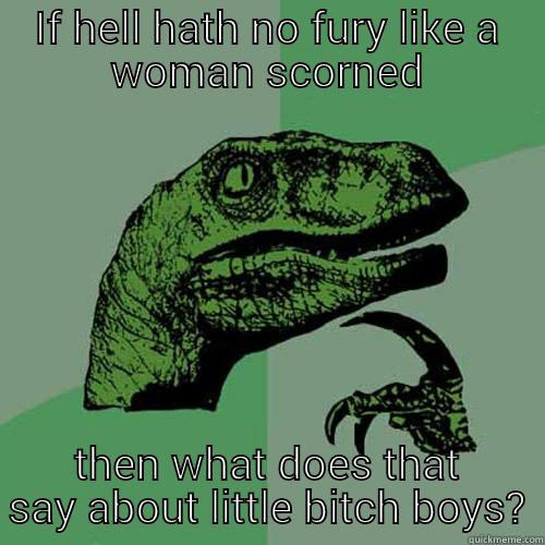IF HELL HATH NO FURY LIKE A WOMAN SCORNED THEN WHAT DOES THAT SAY ABOUT LITTLE BITCH BOYS? Philosoraptor
