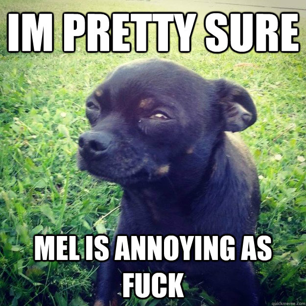 IM PRETTY SURE mel is annoying as fuck  Skeptical Dog