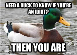 Need a duck to know if you're an idiot? then you are  Good Advice Duck