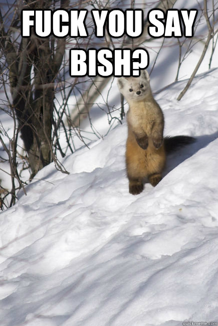 fuck you say bish?  - fuck you say bish?   Misc