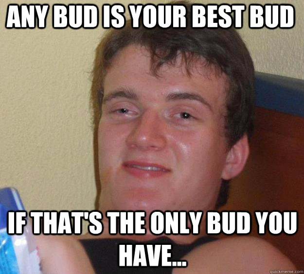 Any bud is your best bud if that's the only bud you have... - Any bud is your best bud if that's the only bud you have...  10 Guy