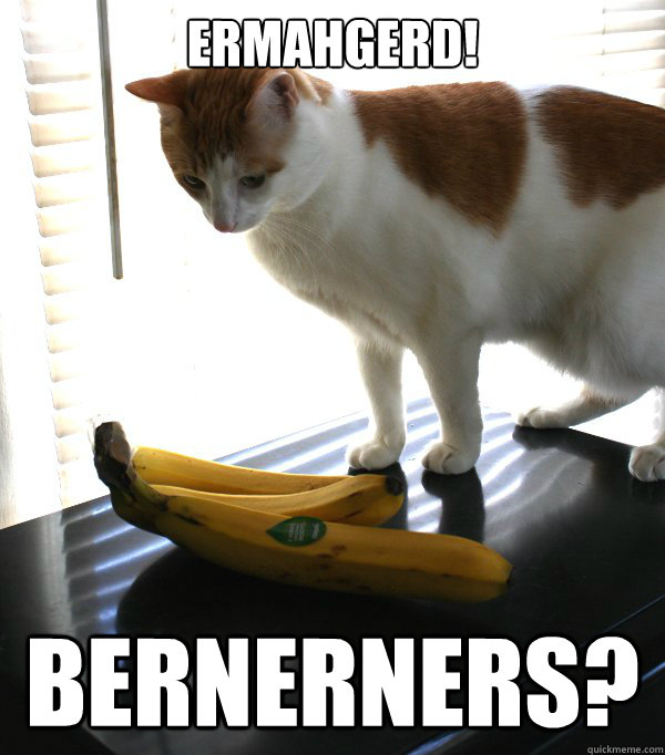 Ermahgerd! BERNERNERS? - Ermahgerd! BERNERNERS?  Cat Banana