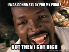 I was gonna study for my finals But then i got high   