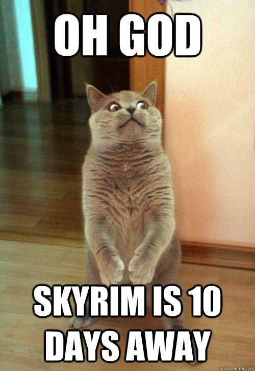 Oh god Skyrim is 10 days away - Oh god Skyrim is 10 days away  Horrorcat