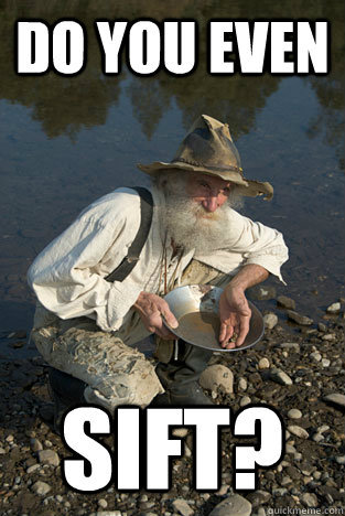 DO YOU EVEN SIFT? - DO YOU EVEN SIFT?  Misc