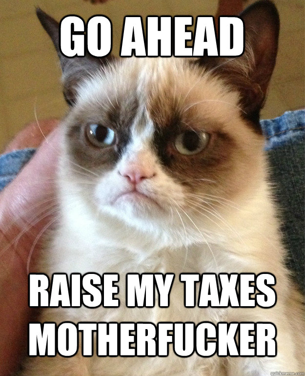 go ahead raise my taxes motherfucker  Grumpy Cat