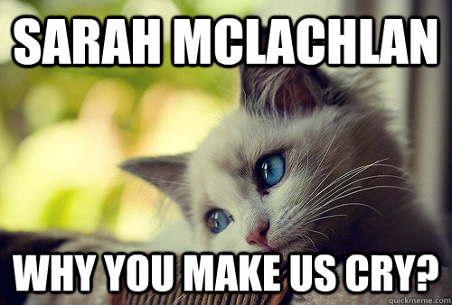 sarah mclachlan why you make us cry?  First World Problems Cat