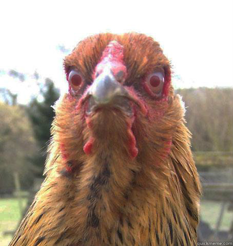 Why did the chicken cross the road... To fuck your mother  RageChicken