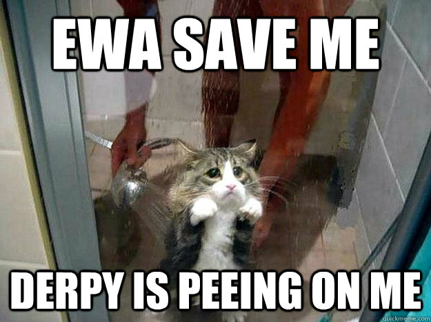 Ewa save me  Derpy is peeing on me   Shower kitty