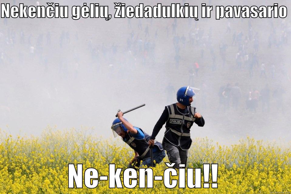 NEKENČIU GĖLIŲ, ŽIEDADULKIŲ IR PAVASARIO  NE-KEN-ČIU!! Misc