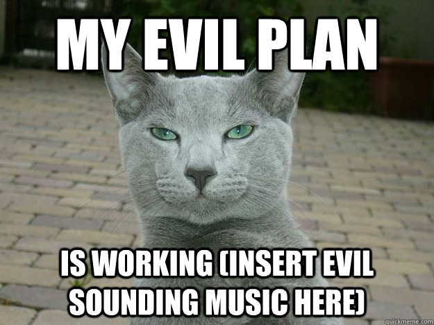 My evil plan  is working (insert evil sounding music here)  Evil Plan Cat