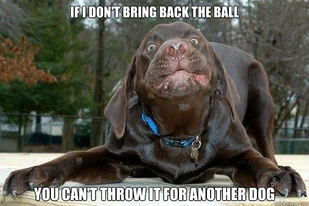 If I don't bring back the ball You can't throw it for another dog  Overly Attached Dog