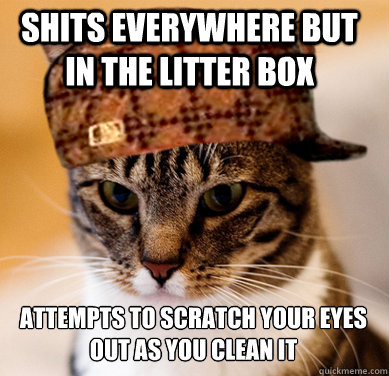 Shits everywhere but in the litter box  Attempts to scratch your eyes out as you clean it  Scumbag Cat