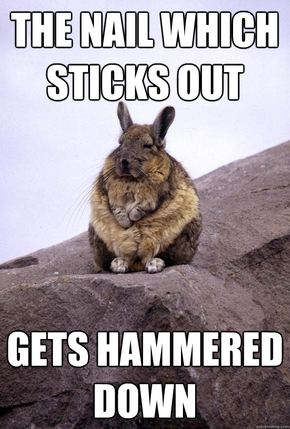The nail which sticks out gets hammered down  Wise Wondering Viscacha