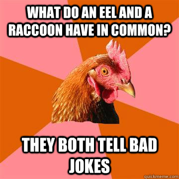 What do an eel and a raccoon have in common? they both tell bad jokes  Anti-Joke Chicken