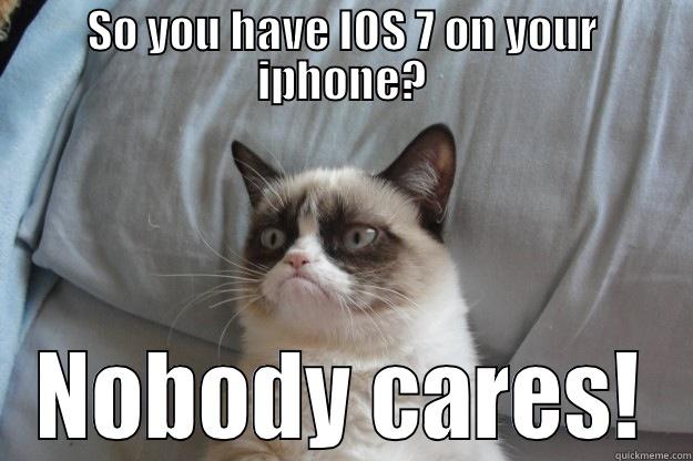 SO YOU HAVE IOS 7 ON YOUR IPHONE? NOBODY CARES! Grumpy Cat