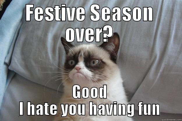 festive feline - FESTIVE SEASON OVER? GOOD I HATE YOU HAVING FUN Grumpy Cat