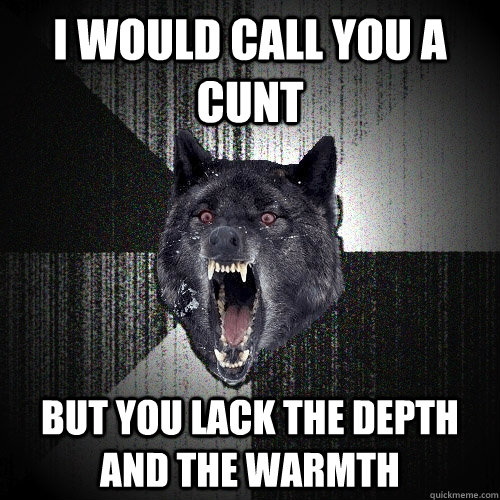 I would call you a cunt But you lack the depth and the warmth  Insanity Wolf