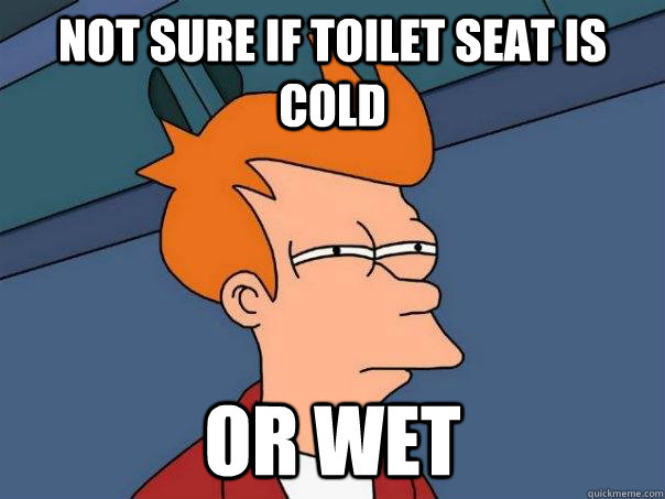Not sure if toilet seat is cold Or wet  Futurama Fry